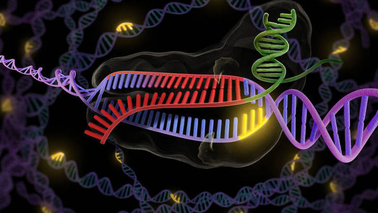 Risco de câncer ameaça revolução prometida por 'revisão ortográfica' de genes com Crispr